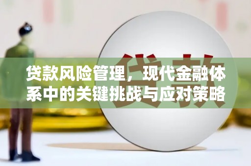 平川贷款风险管理，现代金融体系中的关键挑战与应对策略
