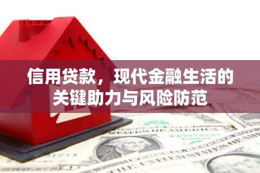 平陆信用贷款，现代金融生活的关键助力与风险防范