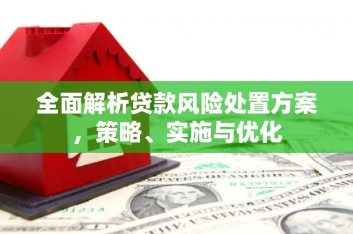 阳春全面解析贷款风险处置方案，策略、实施与优化