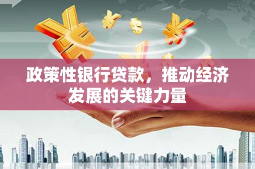 丰城政策性银行贷款，推动经济发展的关键力量