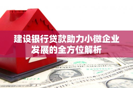 石家庄建设银行贷款助力小微企业发展的全方位解析