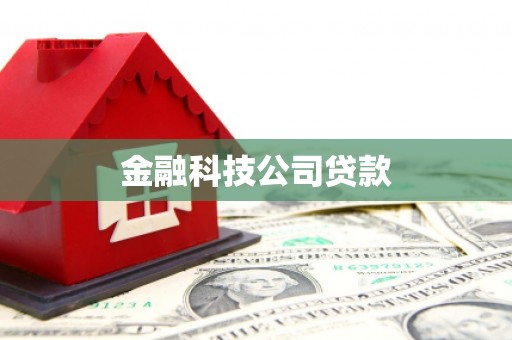 南皮金融科技公司贷款