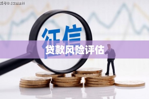 东乌旗贷款风险评估