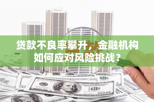 巩义贷款不良率攀升，金融机构如何应对风险挑战？