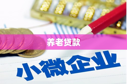柳东养老贷款