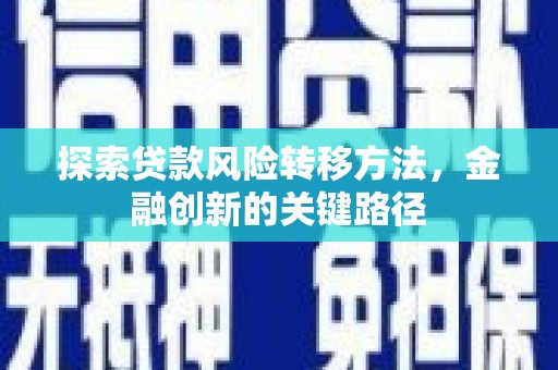 宾川探索贷款风险转移方法，金融创新的关键路径