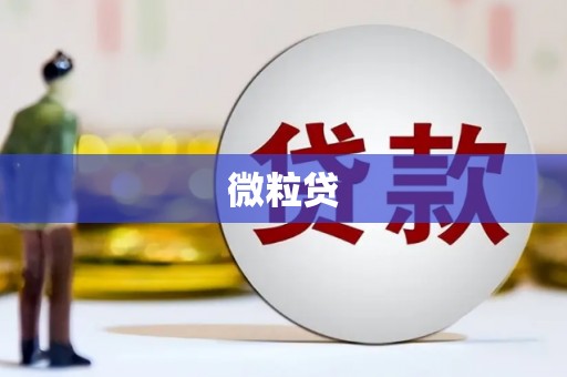 马山微粒贷