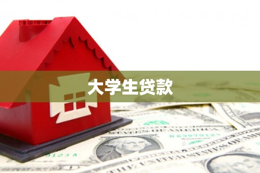 那玛夏大学生贷款
