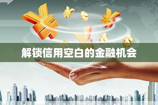阆中解锁信用空白的金融机会