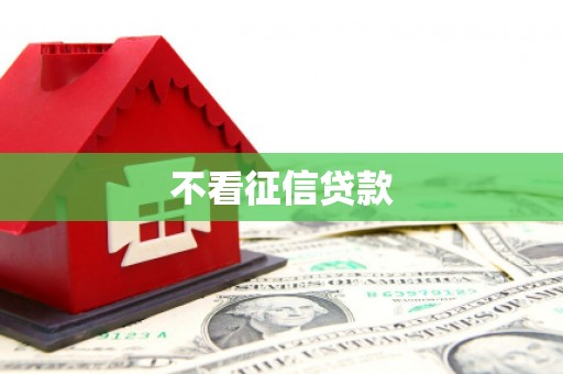 天河不看征信贷款